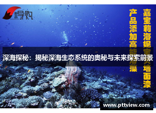 深海探秘：揭秘深海生态系统的奥秘与未来探索前景